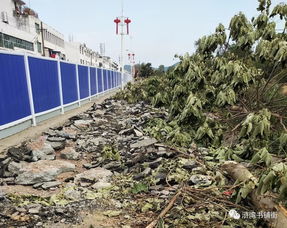 滸灣“一水兩岸”景觀工程正式啟動勘察，打造濱水生態新地標